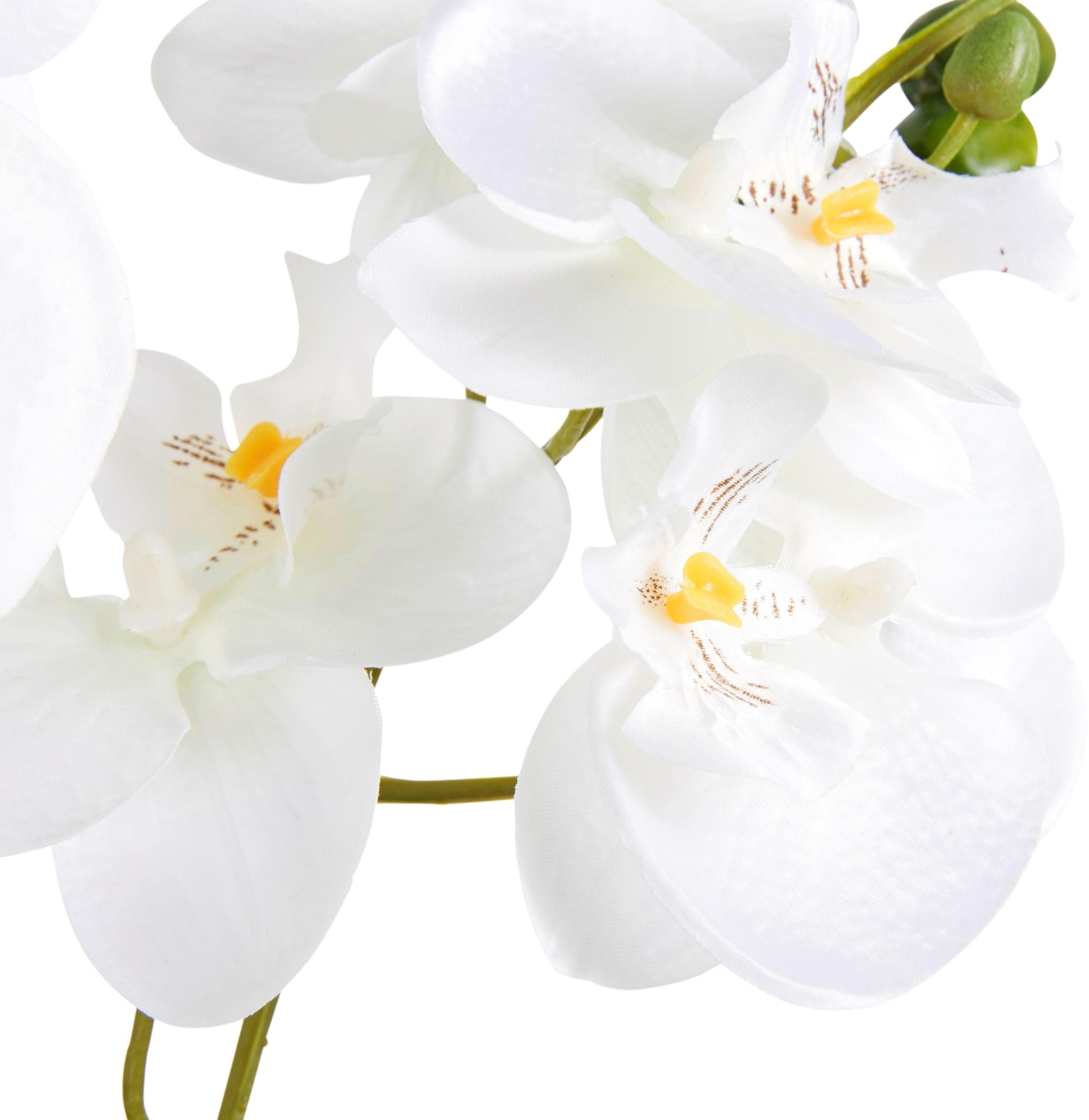 kaufen Kunstpflanze »Orchidee« green | Creativ BAUR