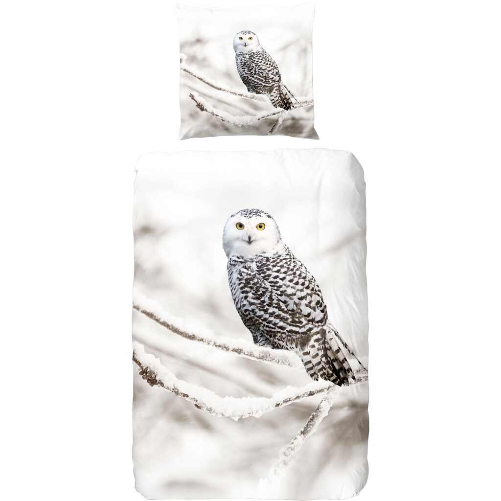 good morning Bettwäsche »Snowy Owl«, (2 tlg.)