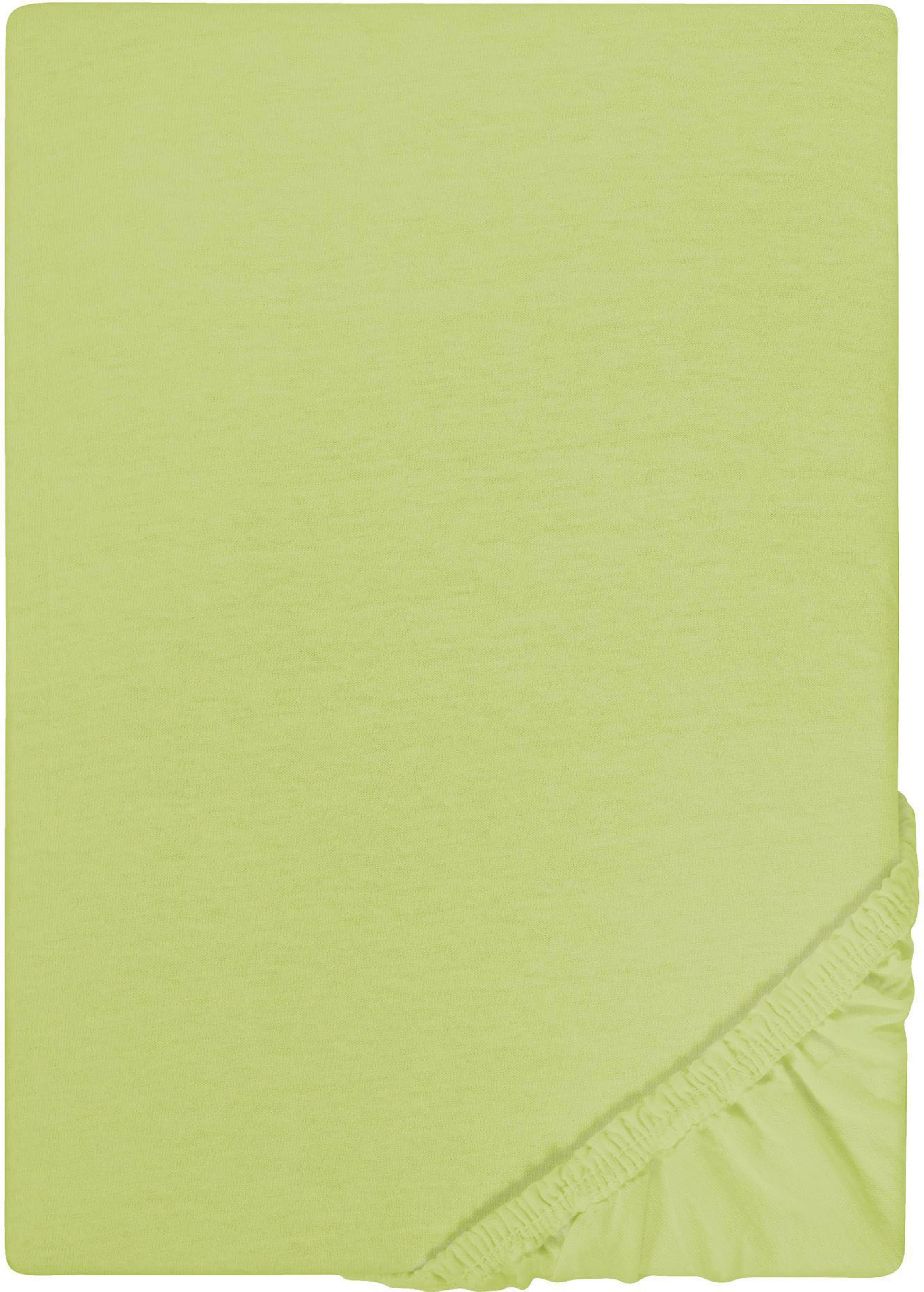 Castell - Markenbettwäsche Spannbettlaken "Jersey in Gr. 90x200, 140x200 oder 180x200 cm" aus Baumwolle, für Matratzen bis 22 cm Höhe, Bettlaken, Spannbetttuch