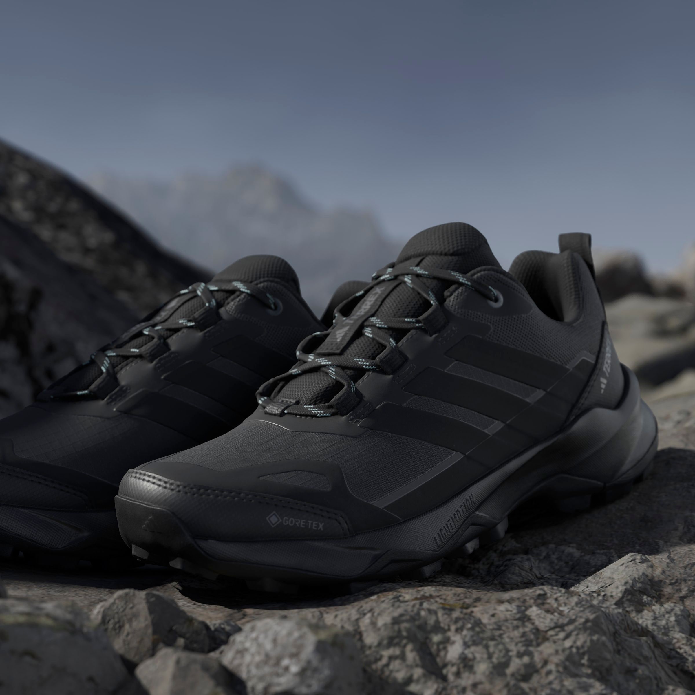 adidas TERREX Wanderschuh »TERREX SKYCHASER AX5 GORE-TEX«, wasserdicht