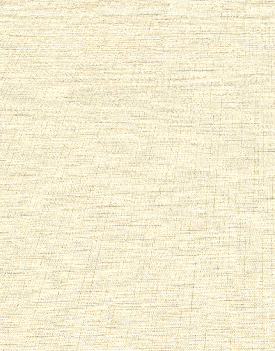 Erismann Vliestapete »Paradisio 2«, 10,05 x 0,53m Uni