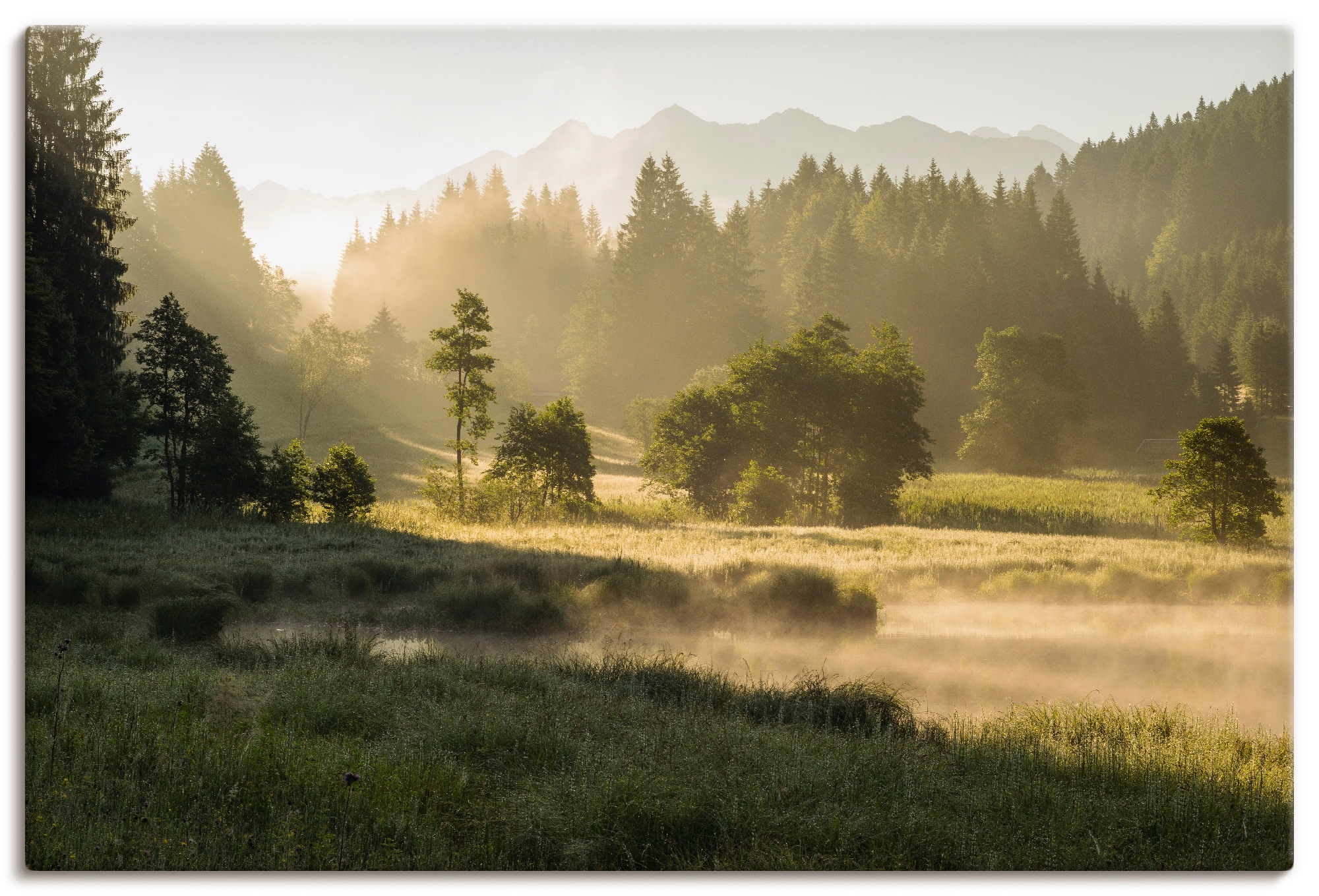 St.), Wandbild »Sommermorgen Leinwandbild, BAUR Wandaufkleber den | in Alpen«, Wiesen (1 bestellen oder Größen Artland & versch. Alubild, in Bäume, als Poster