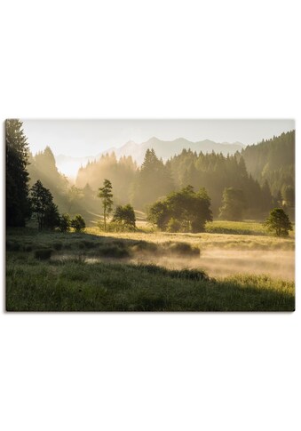 Artland Paveikslas »Sommermorgen in den Alpen«...