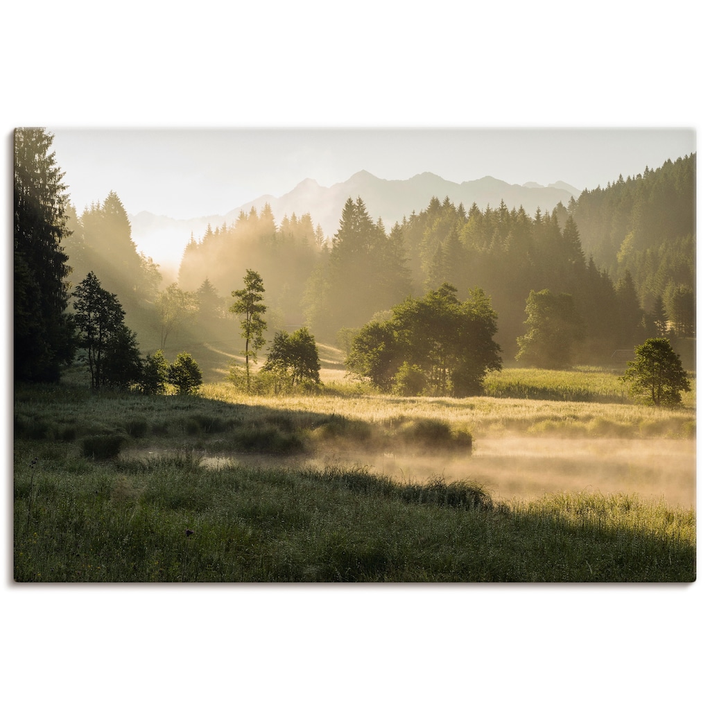 Artland Wandbild »Sommermorgen in den Alpen«, Wiesen & Bäume, (1 St.)