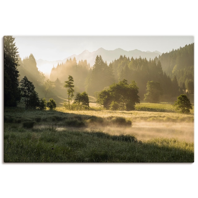 Artland Wandbild »Sommermorgen in den Alpen«, Wiesen & Bäume, (1 St.), als  Alubild, Leinwandbild, Wandaufkleber oder Poster in versch. Größen  bestellen | BAUR