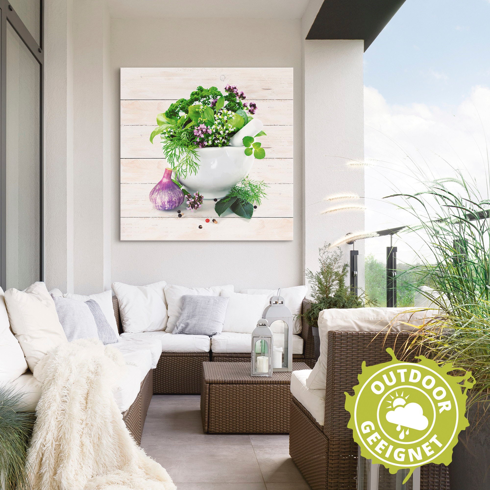 Artland Wandbild »Heilkräuter auf weißem Hintergrund Küche«, Arrangements, (1 St.), als Alubild, Outdoorbild, Leinwandbild, Poster, Wandaufkleber