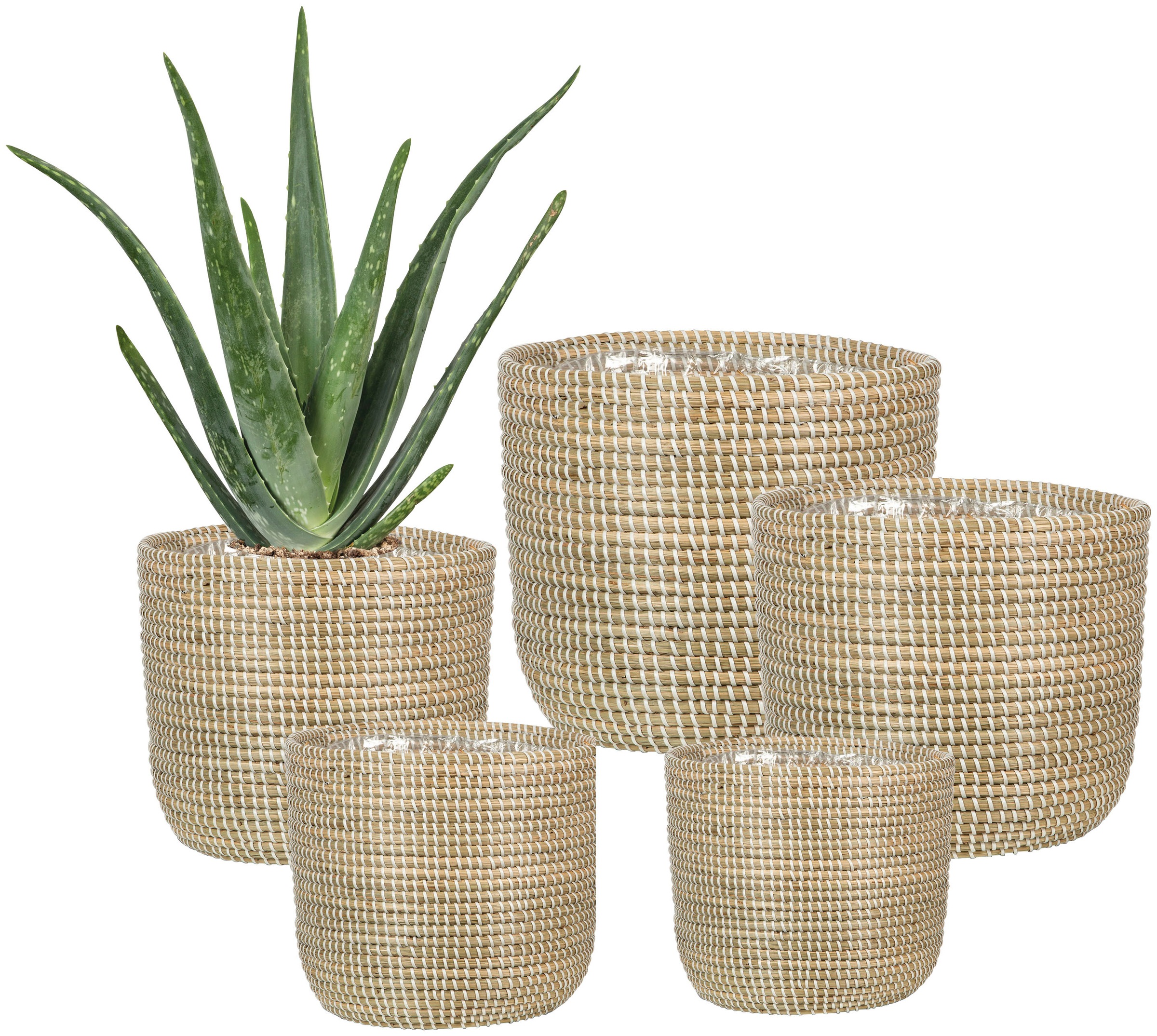 Scheurich Blumentopf »white 15/513«