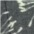 grau/hellmint
