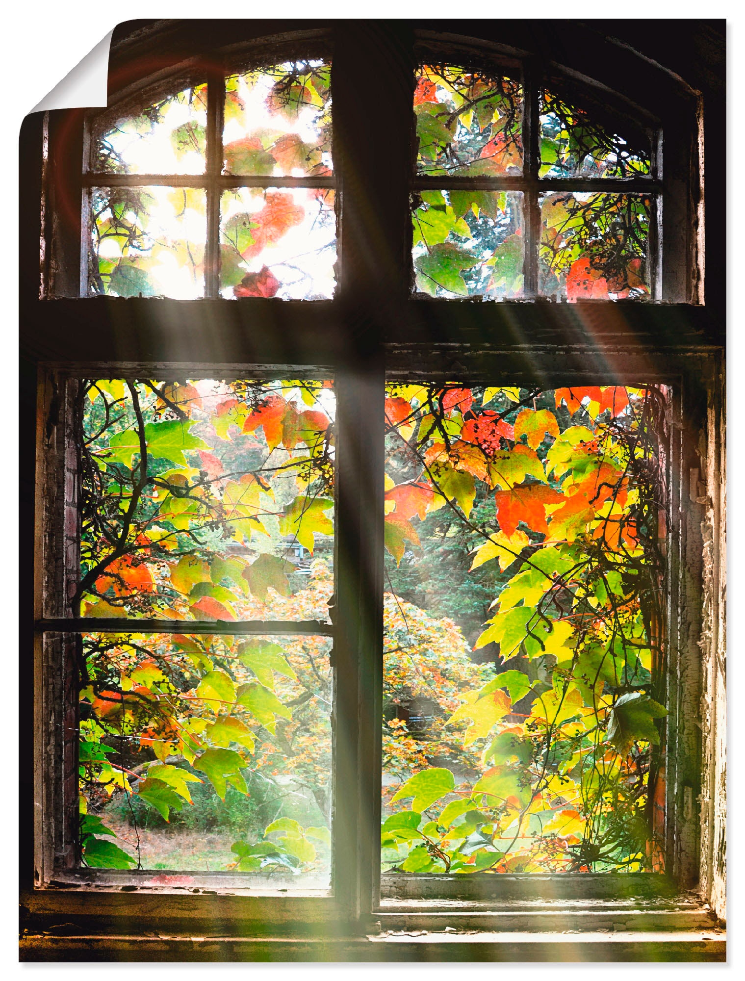 Alubild, (1 Türen, als versch. Poster Fenster bestellen Wandbild Artland Leinwandbild, in oder & Wandaufkleber St.), | »Altbau«, BAUR Größen