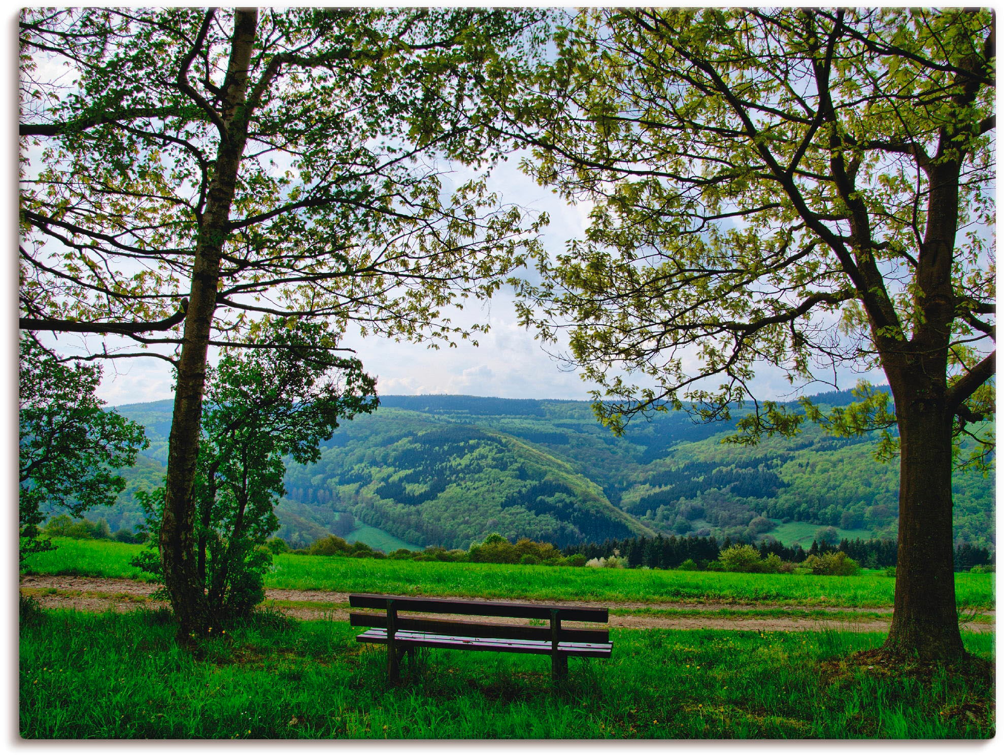 Artland Wandbild »Ausblick in den als | oder Leinwandbild, kaufen versch. Poster in Felder, BAUR Frühling«, (1 Größen Wandaufkleber St.)