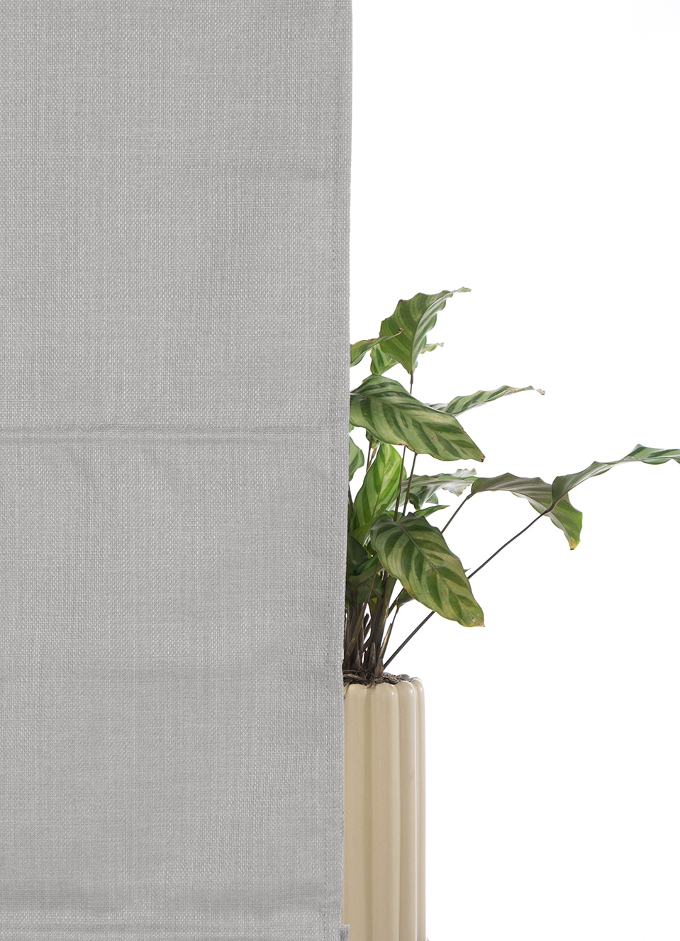 my home Rollo »RIOLA« verdunkelnd Blendschutz | Sichtschutz | Verdunkelung ohne Bohren freihängend Faltrollo in trendiger Leinenoptik, einfache Montage