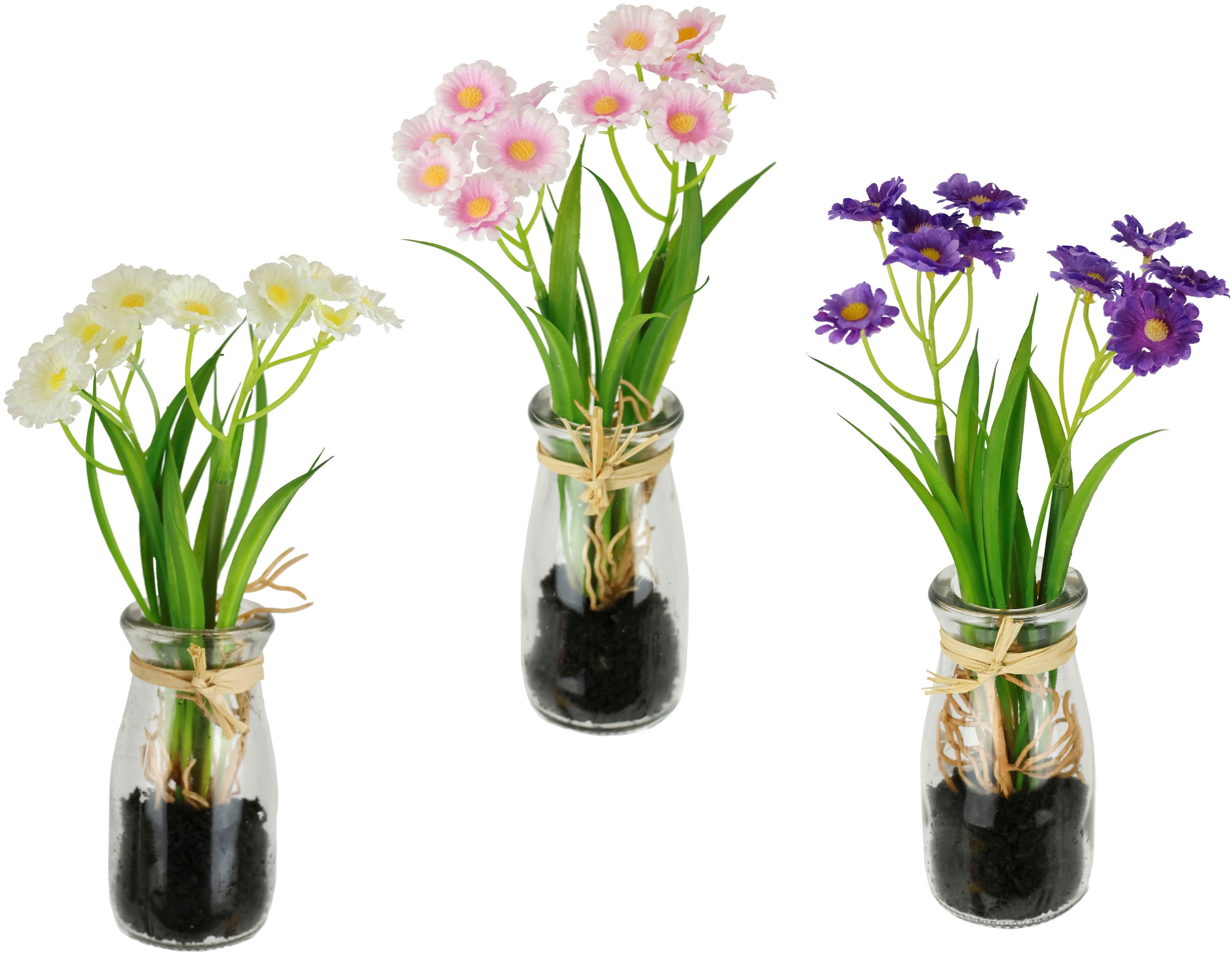 I.GE.A. Kunstblume "Margeriten" Künstliche Mini-Blüten im Glas Arrangement günstig online kaufen