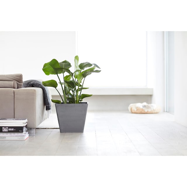 ECOPOTS »ROTTERDAM Blumentopf 40x40x35 cm | BAUR BxTxH: Grey«, bestellen