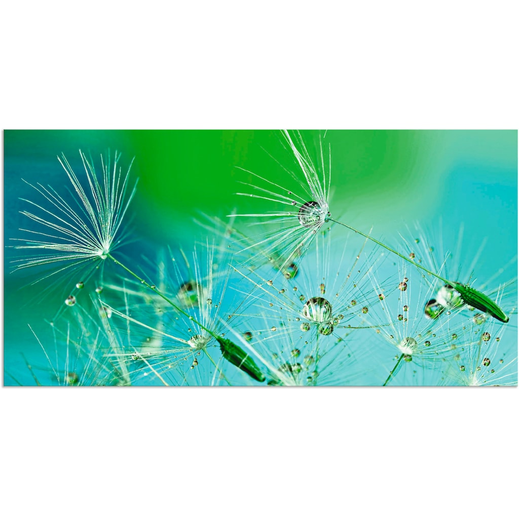 Artland Wandbild »Glitzernde Pustblumen mit Wassertropfen«, Blumen, (1 St.)