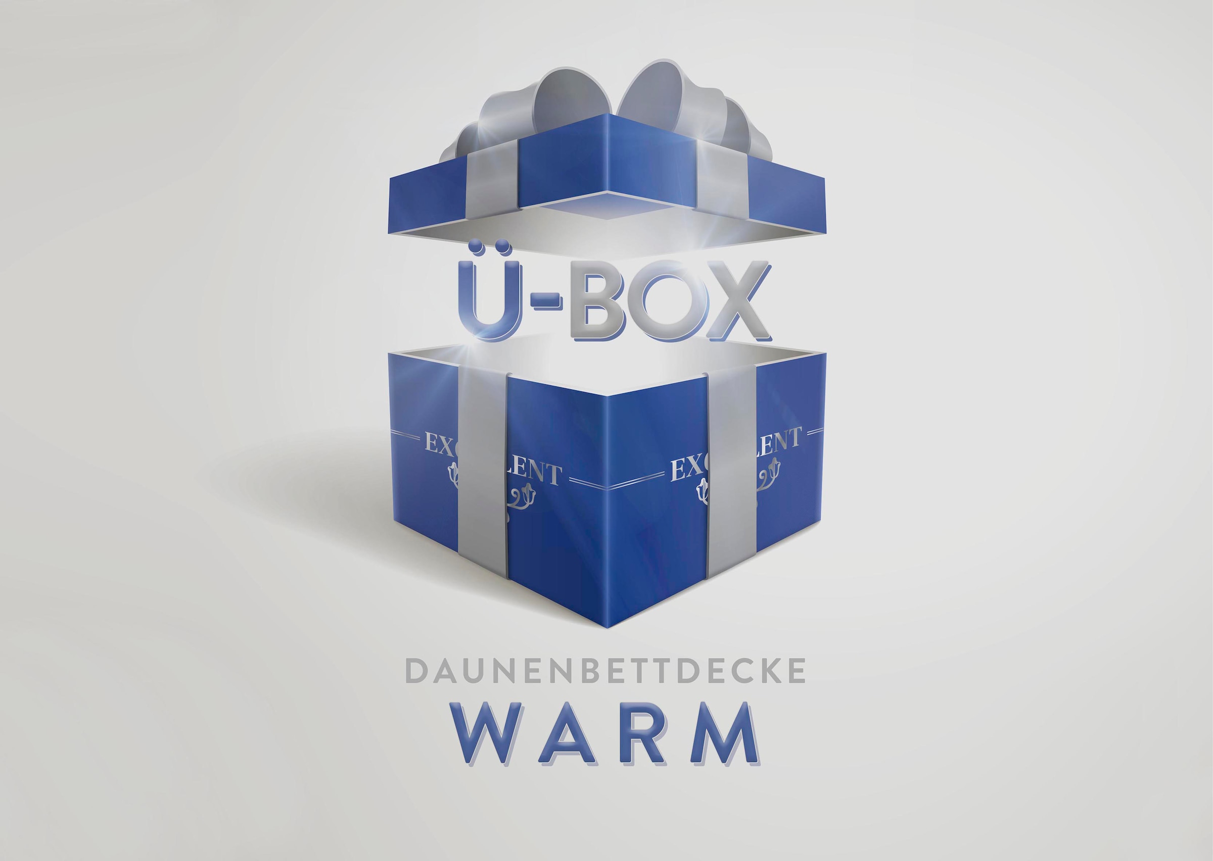 Excellent Daunenbettdecke "Überraschungsbox", warm, Füllung 90% Daunen, 10% Federn, Bezug Baumwolle, (1 St.), absoluter 