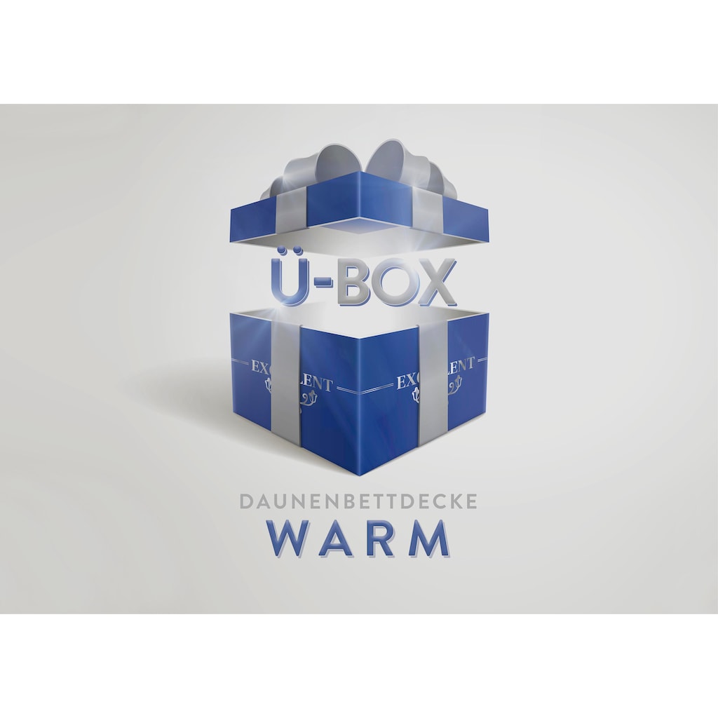 Excellent Daunenbettdecke »Überraschungsbox«, warm, Füllung 90% Daunen, 10% Federn, Bezug Baumwolle, (1 St.)