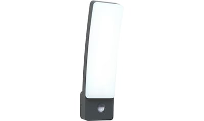 LUTEC LED Außen-Wandleuchte »KIRA 5288903118«, LED-Modul, 1 St., Neutralweiß kaufen