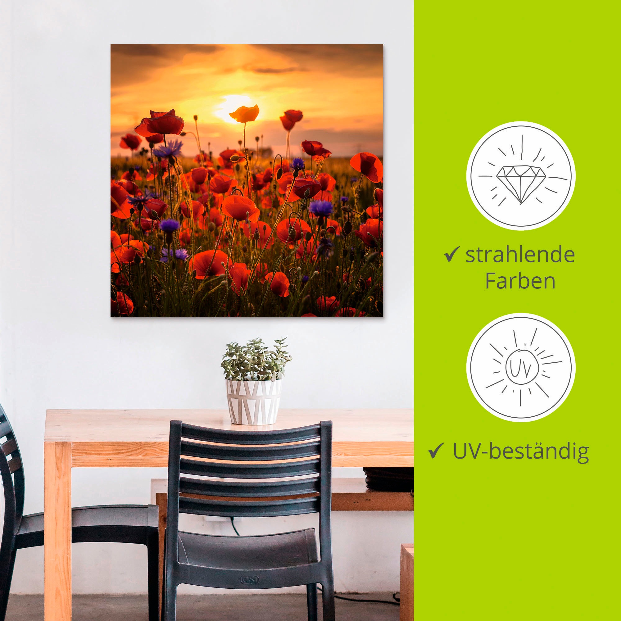 Artland Wandbild »Mohnblumen im Abendlicht«, Blumen, (1 St.), als Alubild, Outdoorbild, Leinwandbild, Poster, Wandaufkleber