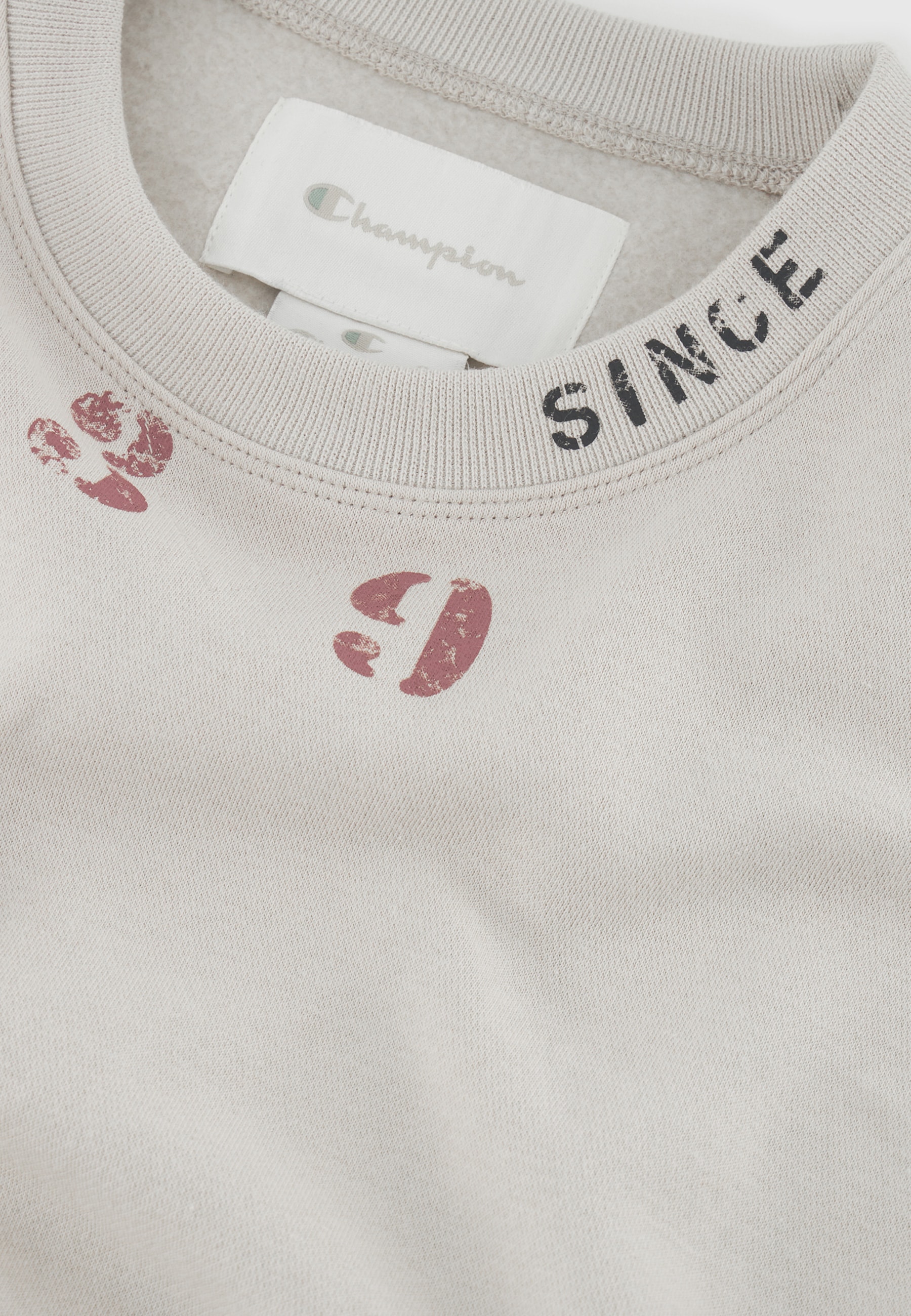 Champion Sweatshirt