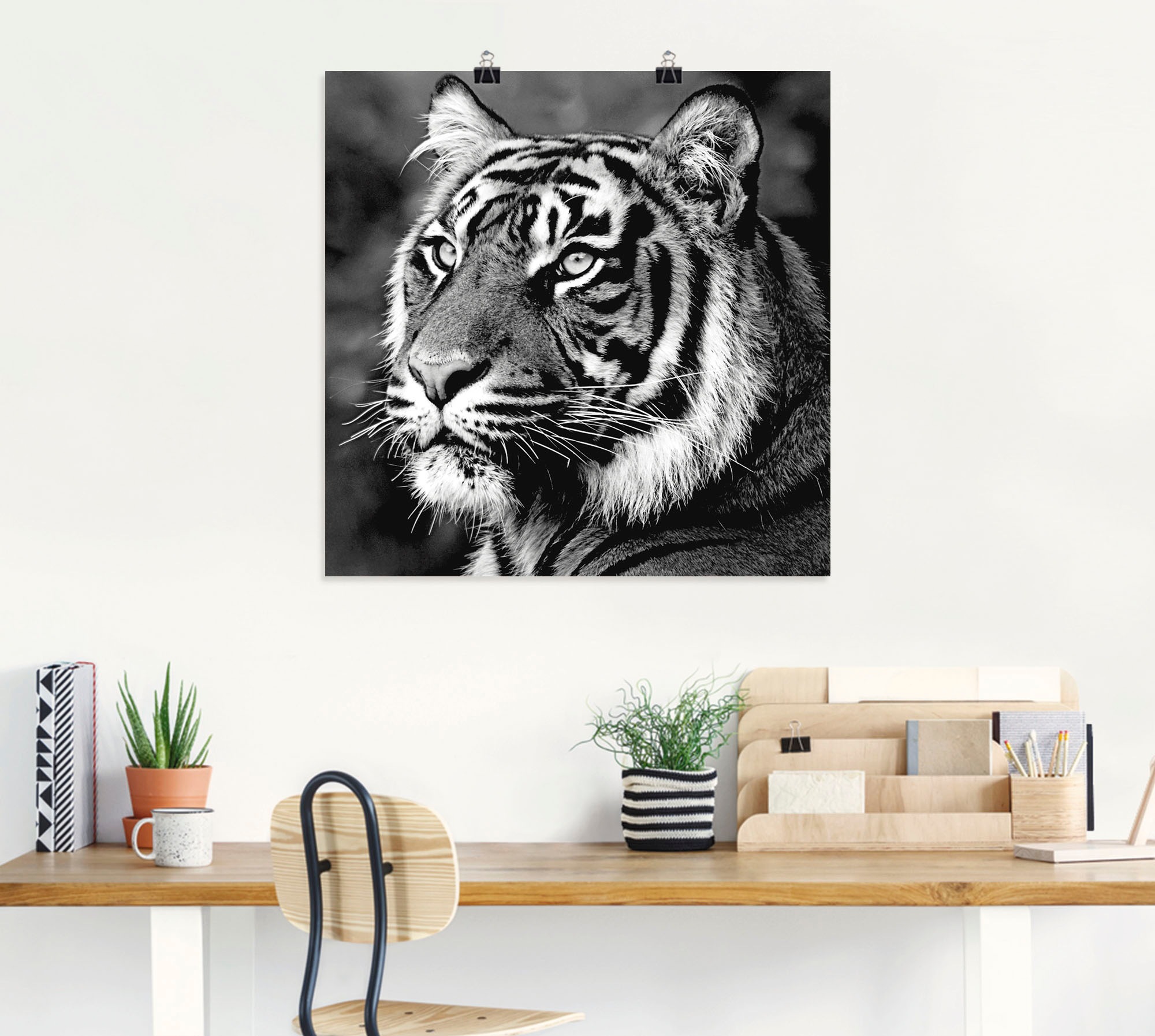 Artland Wandbild "Tiger", Wildtiere, (1 St.), als Leinwandbild, Poster, Wan günstig online kaufen