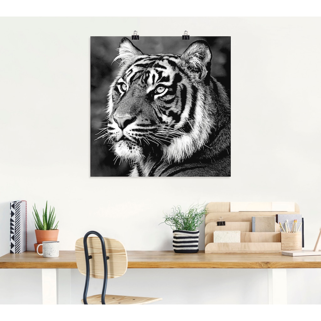 Artland Wandbild »Tiger«, Wildtiere, (1 St.)