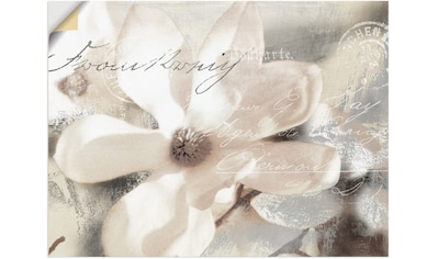 Wandbild »Magnolie_Detail«, Blumenbilder, (1 St.)