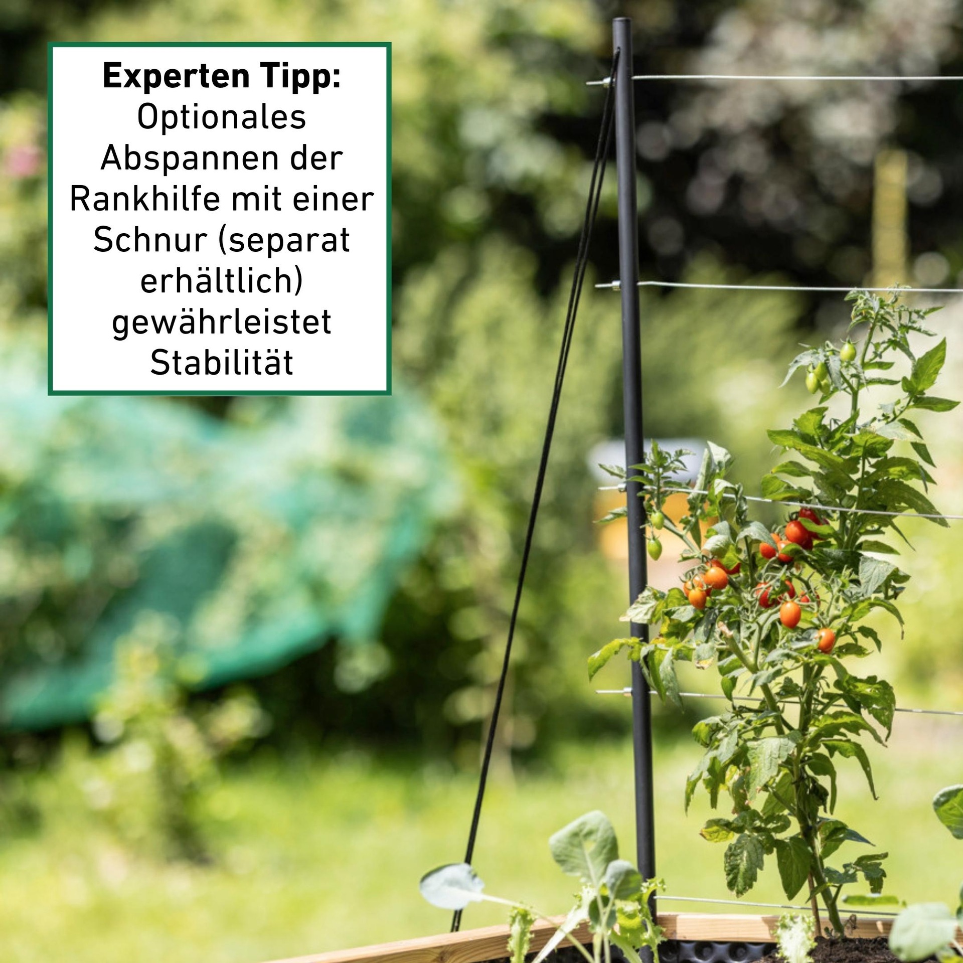 Windhager Rankhilfe »mit Edelstahlseil in dezenter Optik, Pflanzenstütze« langlebig und robust, 100 x 118 cm