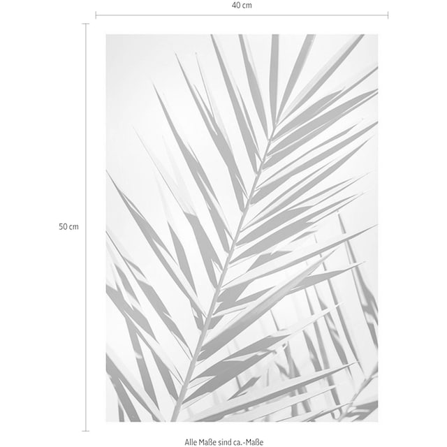 Komar Poster »Shine«, Pflanzen-Blätter, (1 St.), Kinderzimmer, Schlafzimmer,  Wohnzimmer | BAUR