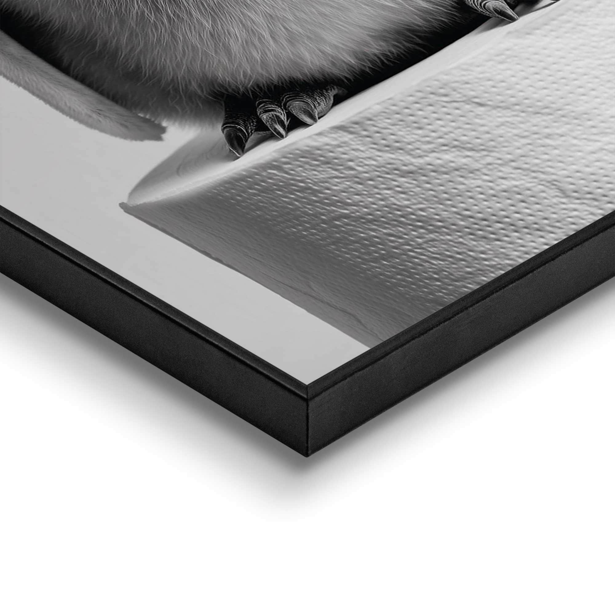 Reinders! Bild mit Rahmen »Babypinguin« Tiere 1 Stk. tlg. Toilette - Schwarz-Weiß - MDF - Tiere - 20x30 cm