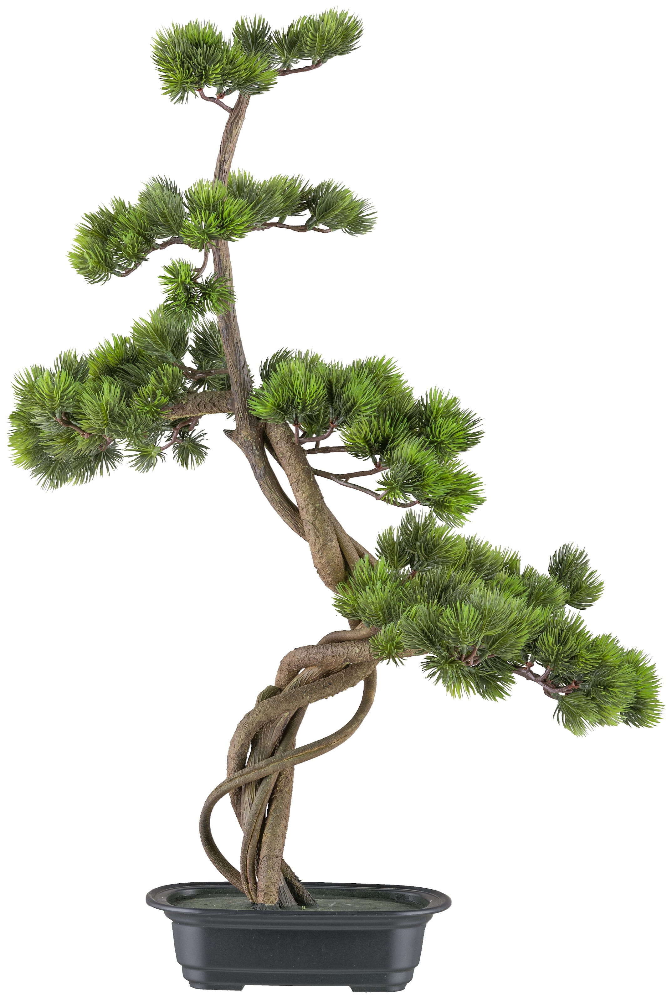 Creativ green Kunstbonsai "Bonsai Kiefer", mit elegantem Stamm günstig online kaufen