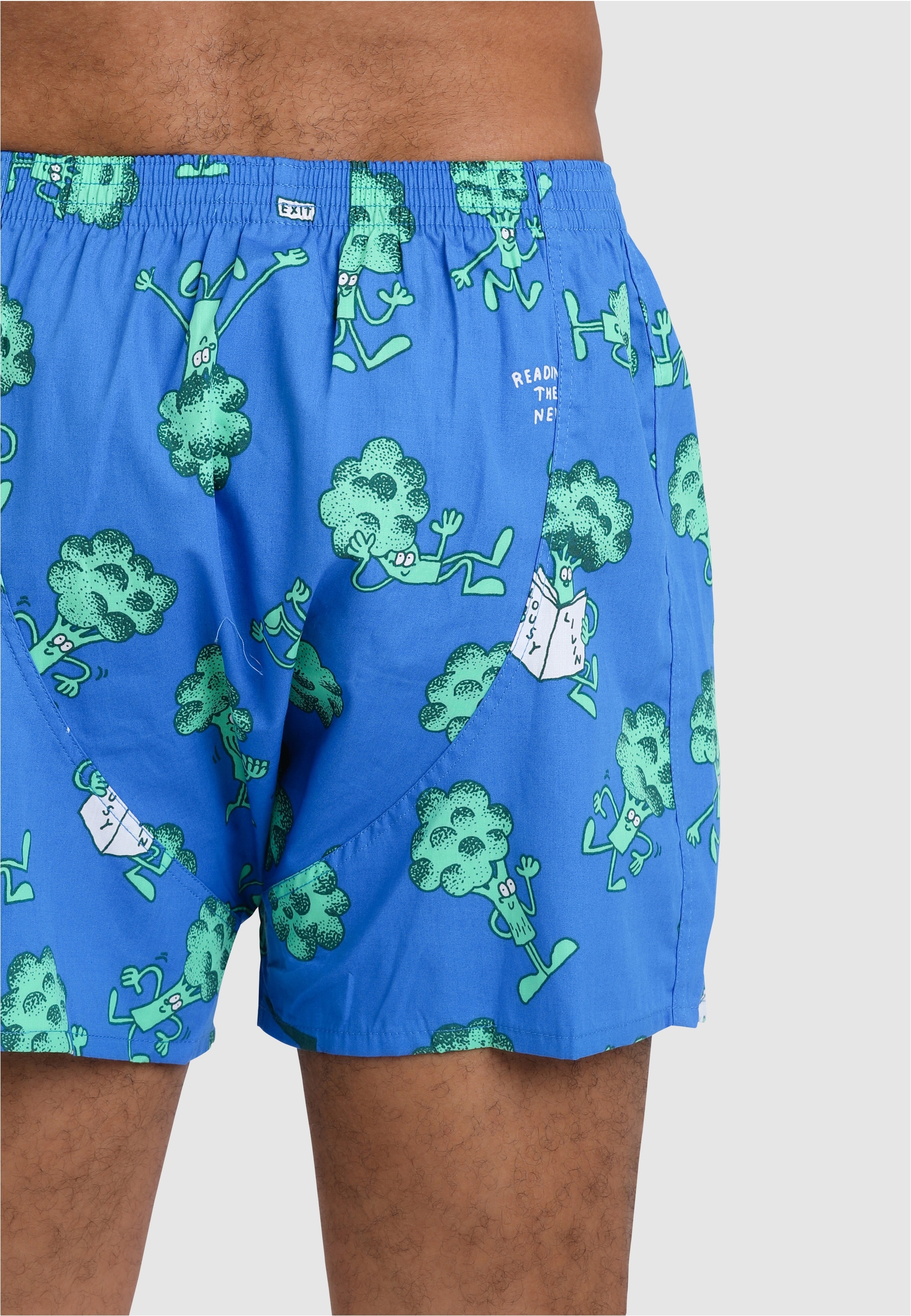 Lousy Livin Boxershorts »Weedy & Broccoli«, mit buntem Design