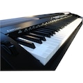 Clifton Stage-Piano »DP2600«, mit 88 gewichteten Tasten
