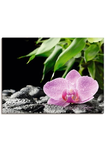 Artland Paveikslas »Rosa Orchidee ant schwarze...