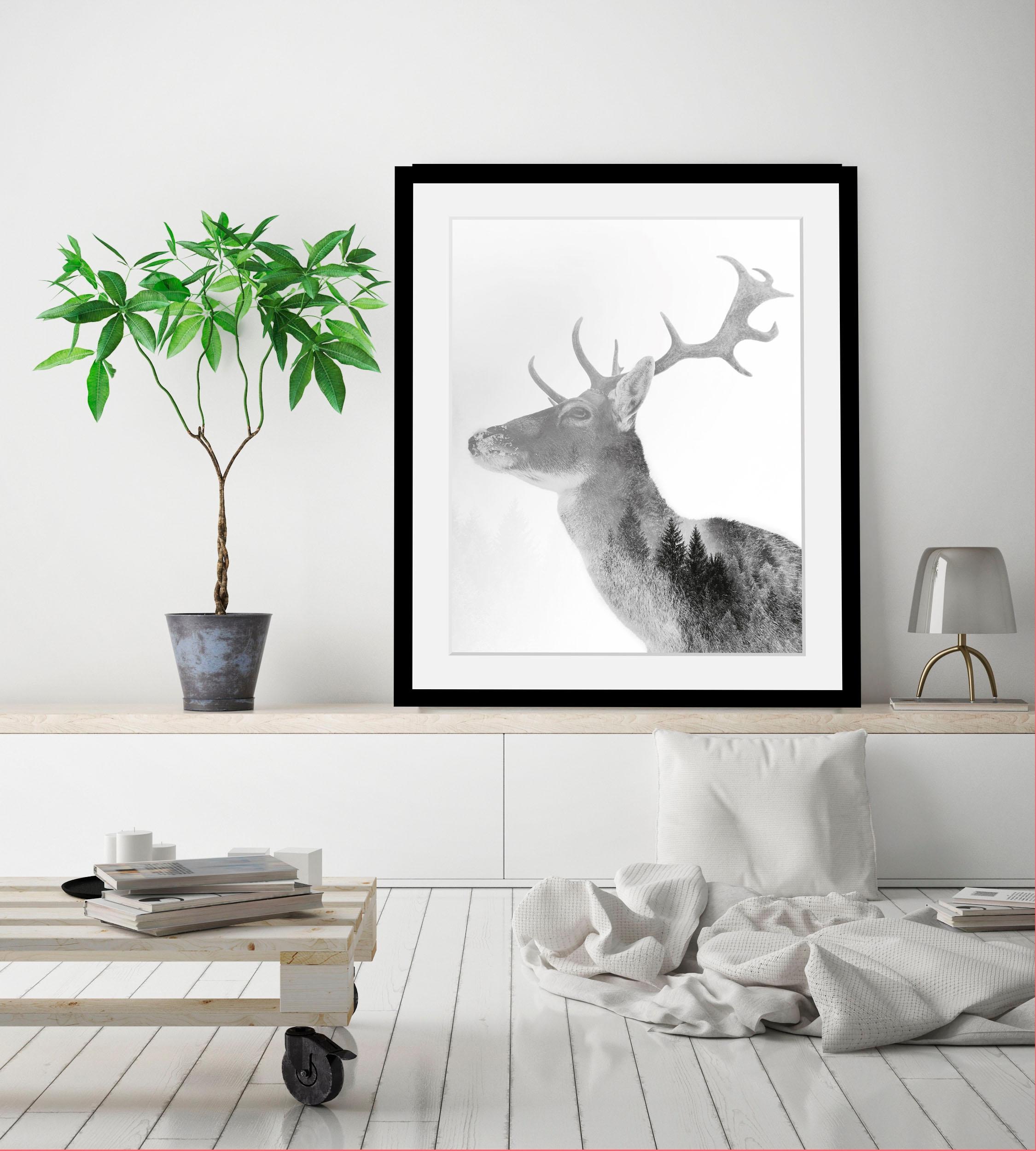 queence Bild »Hirsch«, Hirsch-Tiere-Wildtiere-Hirschbilder-Wald-Waldbilder-Schwarz-Weiß, HD Premium Poster-Druck inkl. Holzrahmen