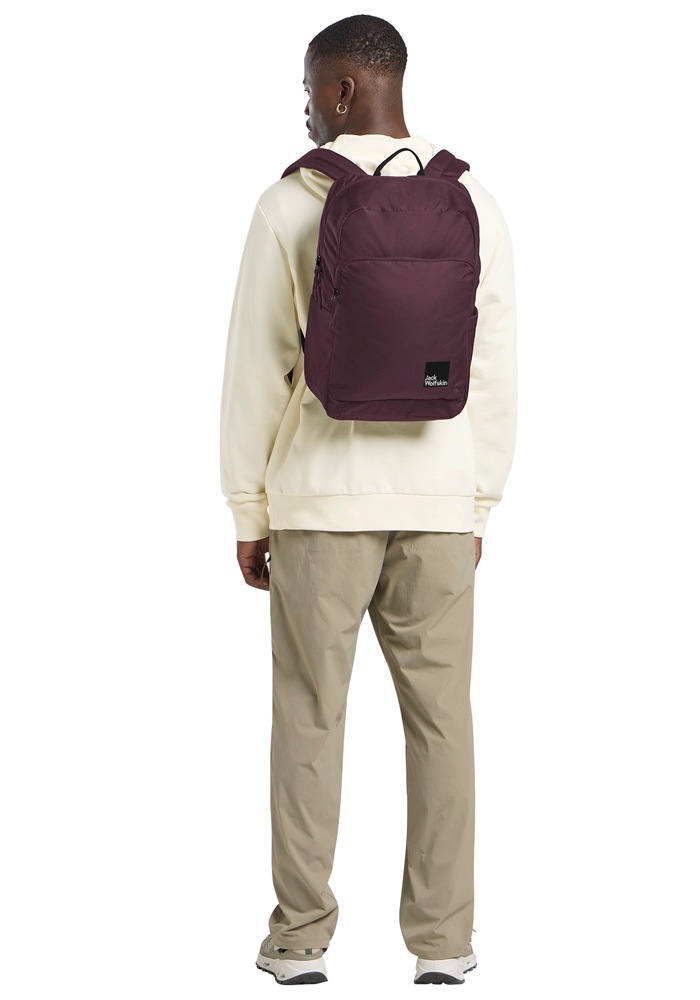 Jack Wolfskin Daypack »TERRAVIEW«