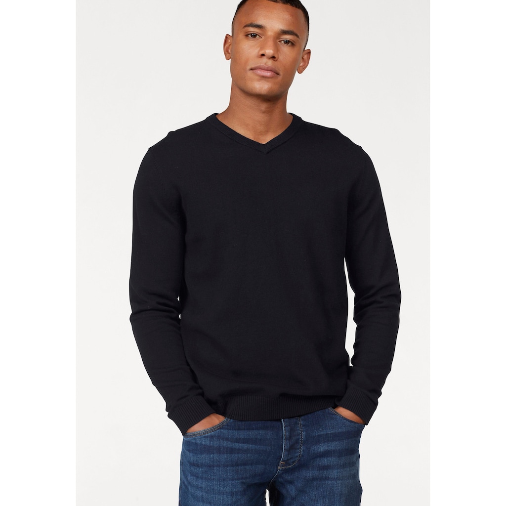 Jack & Jones V-Ausschnitt-Pullover »JJEBASIC KNIT V-NECK«