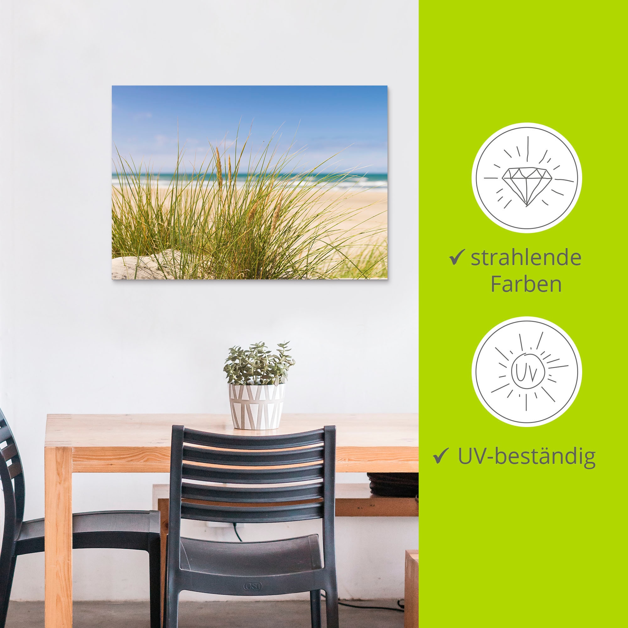 Artland Wandbild »Dünengras«, Strand, (1 St.), als Alubild, Outdoorbild, Leinwandbild, Poster in verschied. Größen