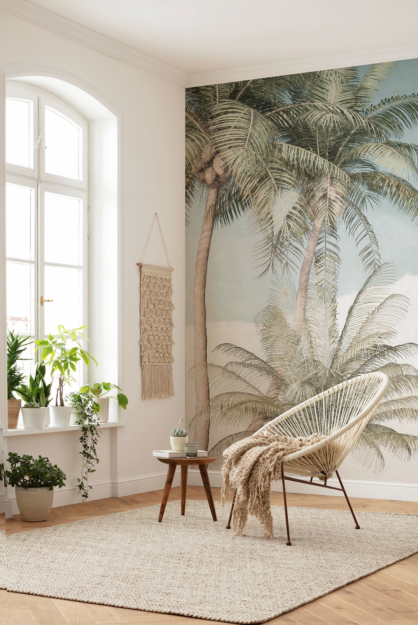 Komar Vliestapete »Palm Oasis«, 200x280 günstig cm Vliestapete, cm | (Breite BAUR Bahnbreite x Höhe), 100