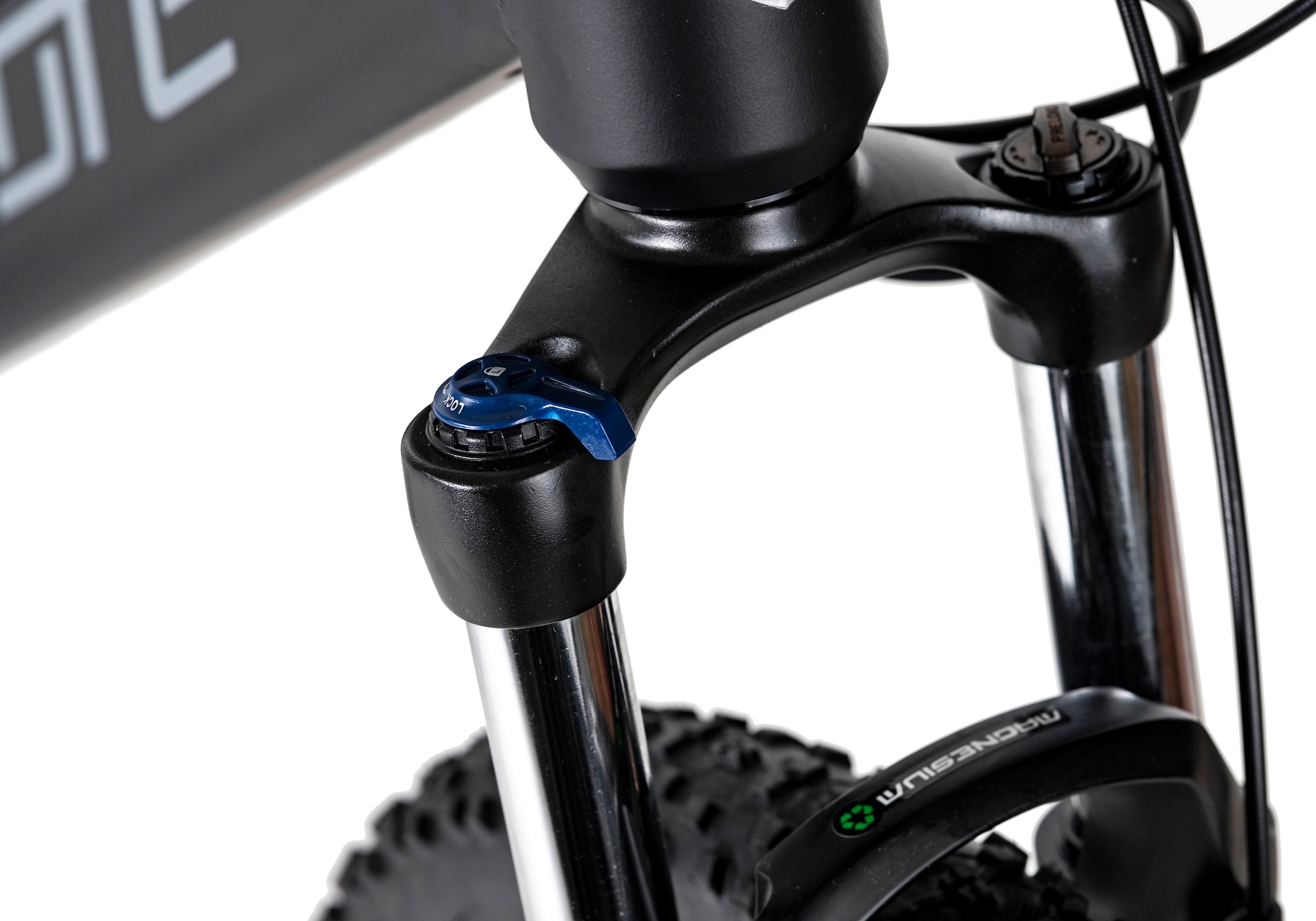 Adore E-Bike »Raccoon«, 24 Gang, Shimano, Acera, Heckmotor 250 W, Pedelec, Elektrofahrrad für Damen u. Herren, MTB