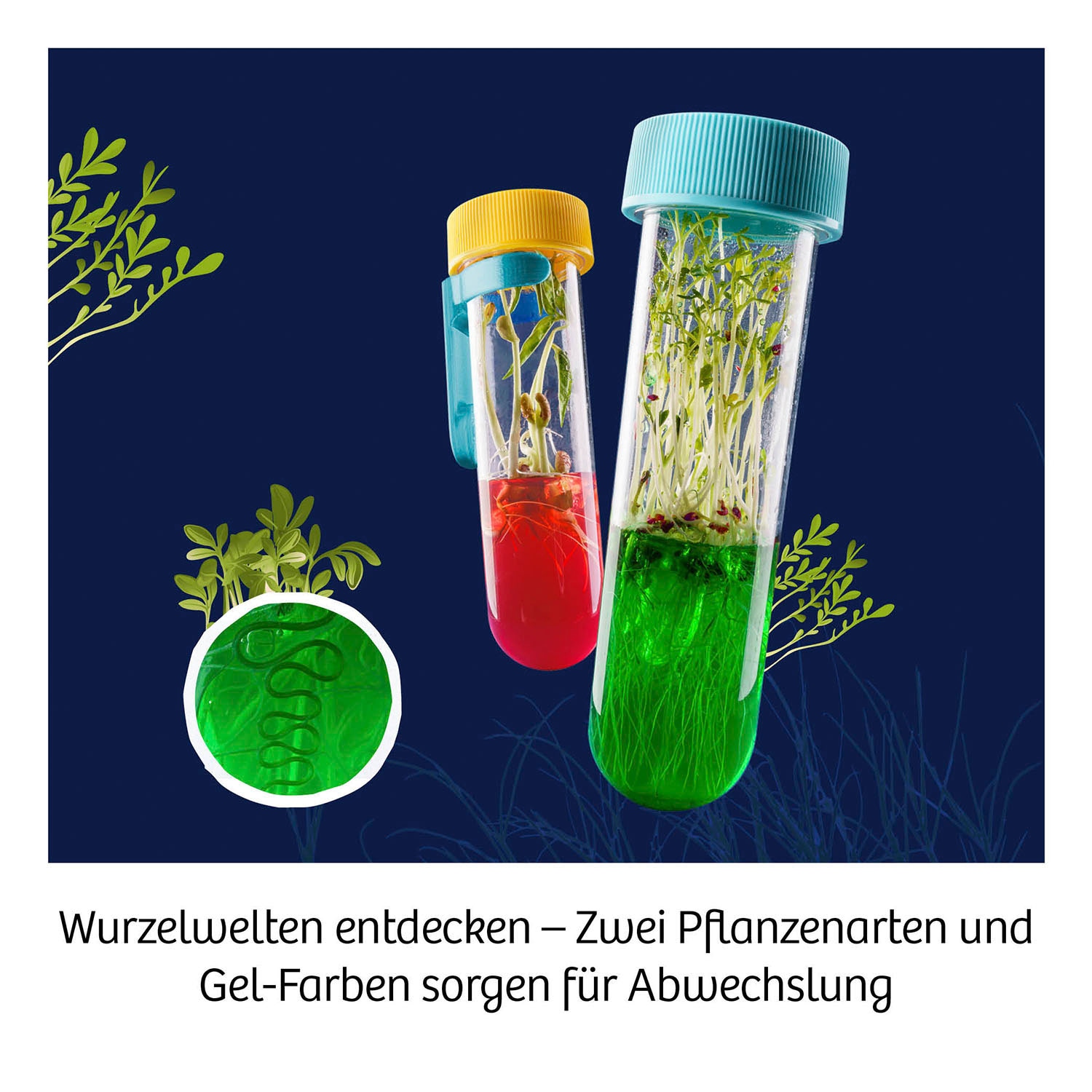 Kosmos Experimentierkasten »Fun Science Aqua-Gel Pflanzen«, Made in Germany