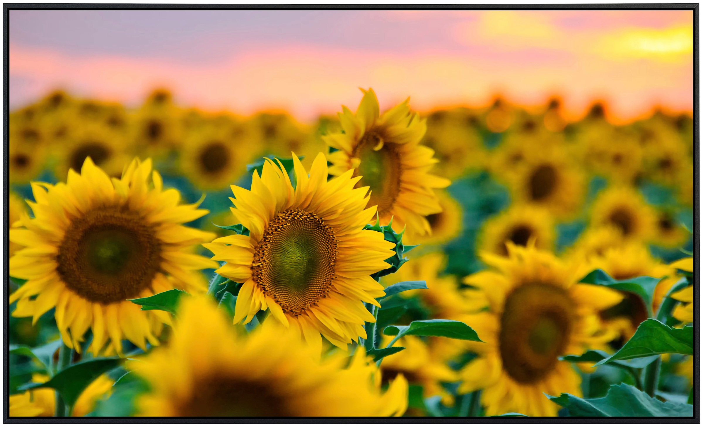 Papermoon Infrarotheizung »Feld der Sonnenblumen«, sehr angenehme Strahlungswärme