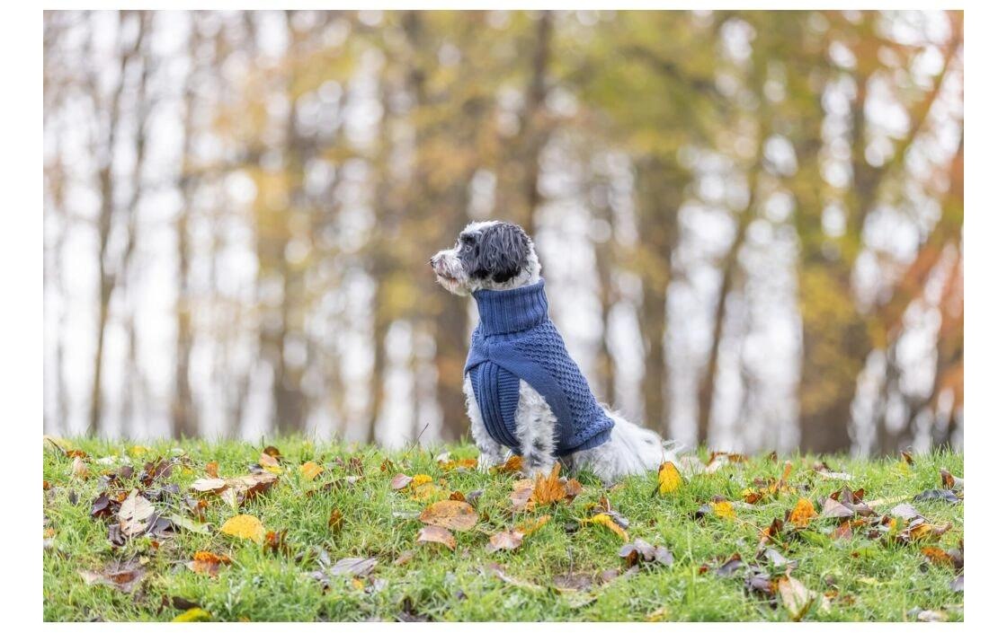 TRIXIE Tierpullover »Norwood M, 45 cm Dunkelblau«