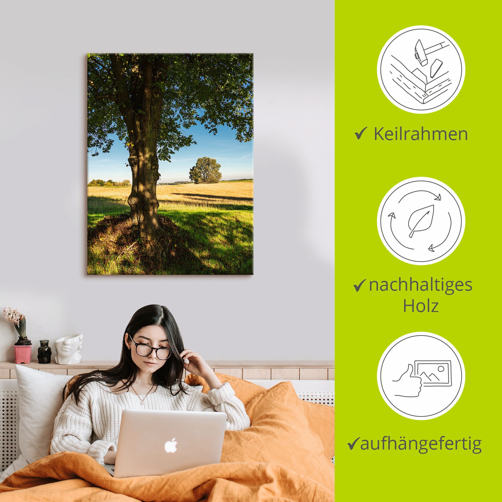 Artland Poster »Feld und Bäumen bei Hohen Demzin«, Felder, (1 St.), als Alubild, Leinwandbild, Wandaufkleber oder Poster in versch. Größen