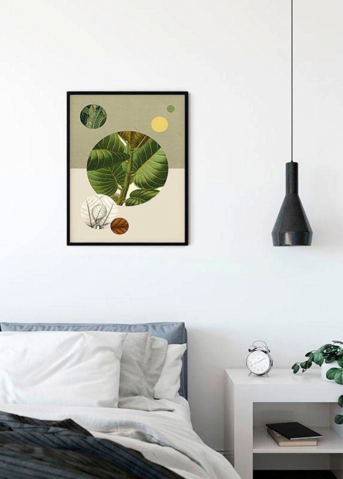 Komar Bild »Green Structure«, Pflanzen-Blätter, (1 St.), Wandbild zur Dekoration - ohne Rahmen