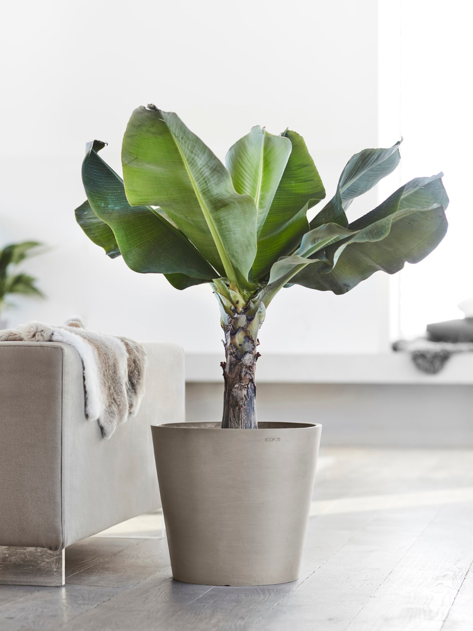 ECOPOTS Blumentopf »Amsterdam 40 + Wassersystem Taupe«, für innen und außen: frostsicher, bruchsicher und lichtbeständig