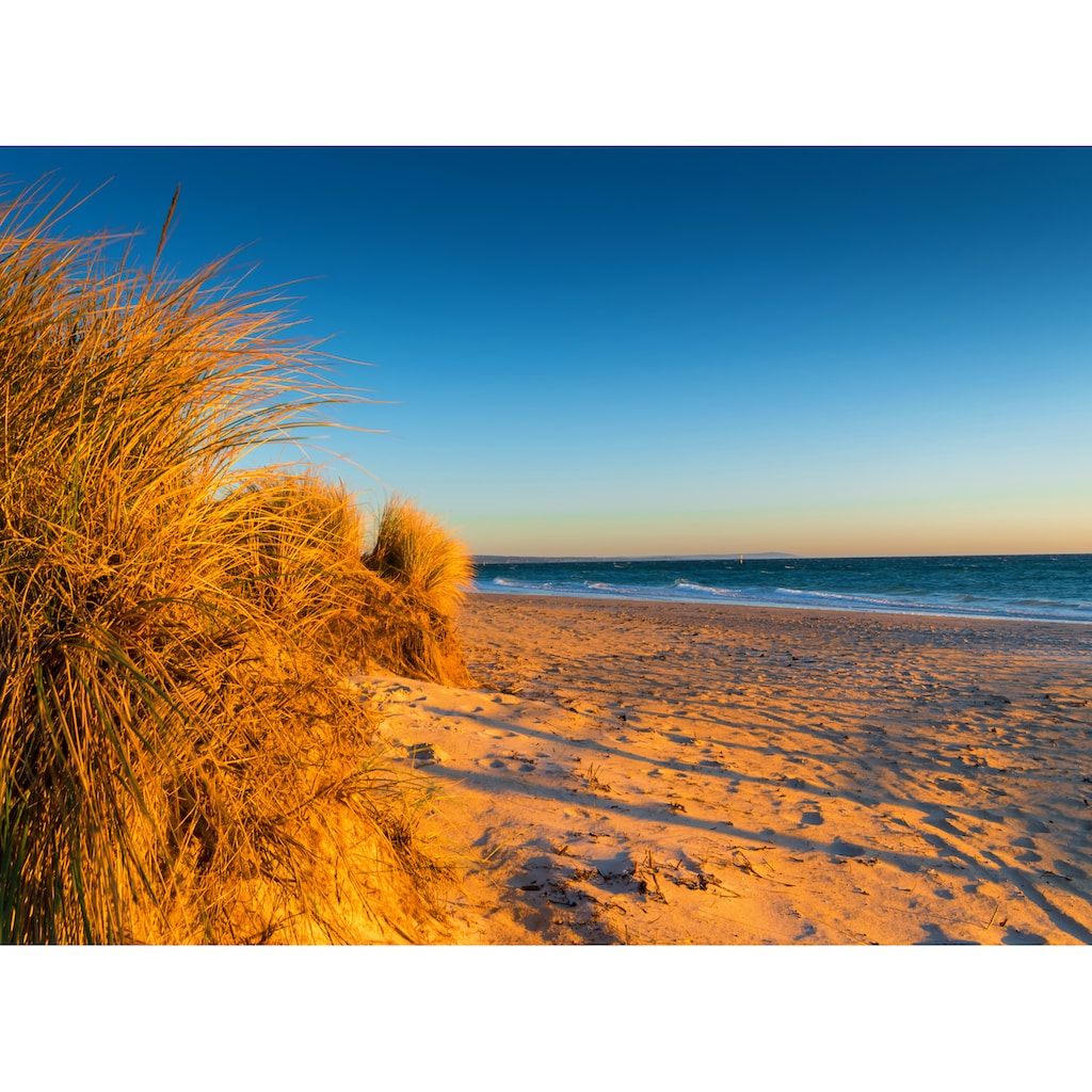 Papermoon Fototapete »Dunes Chelsea Beach Australia«