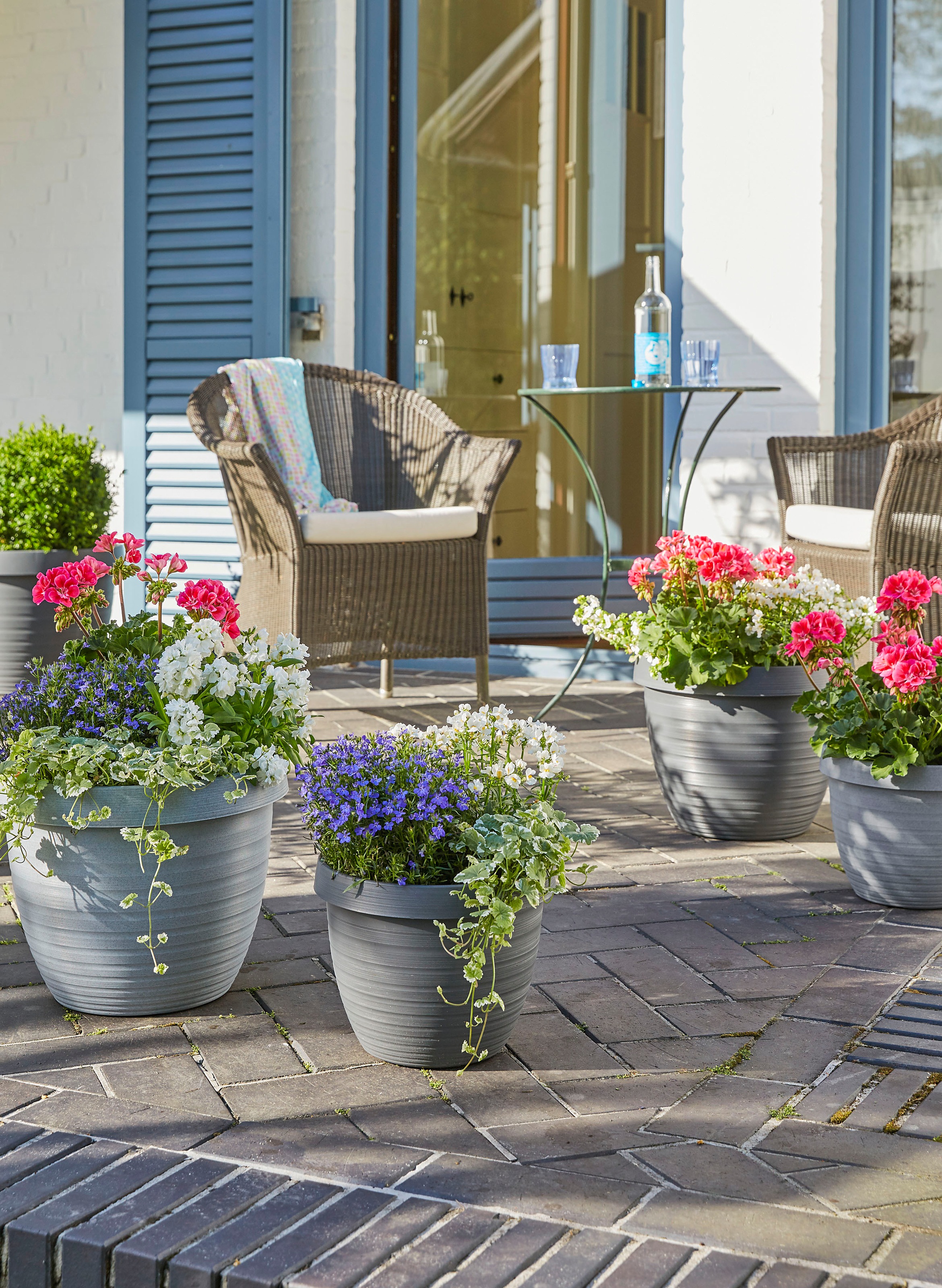Scheurich Blumentopf »48/270 COUNTRY STAR 48«