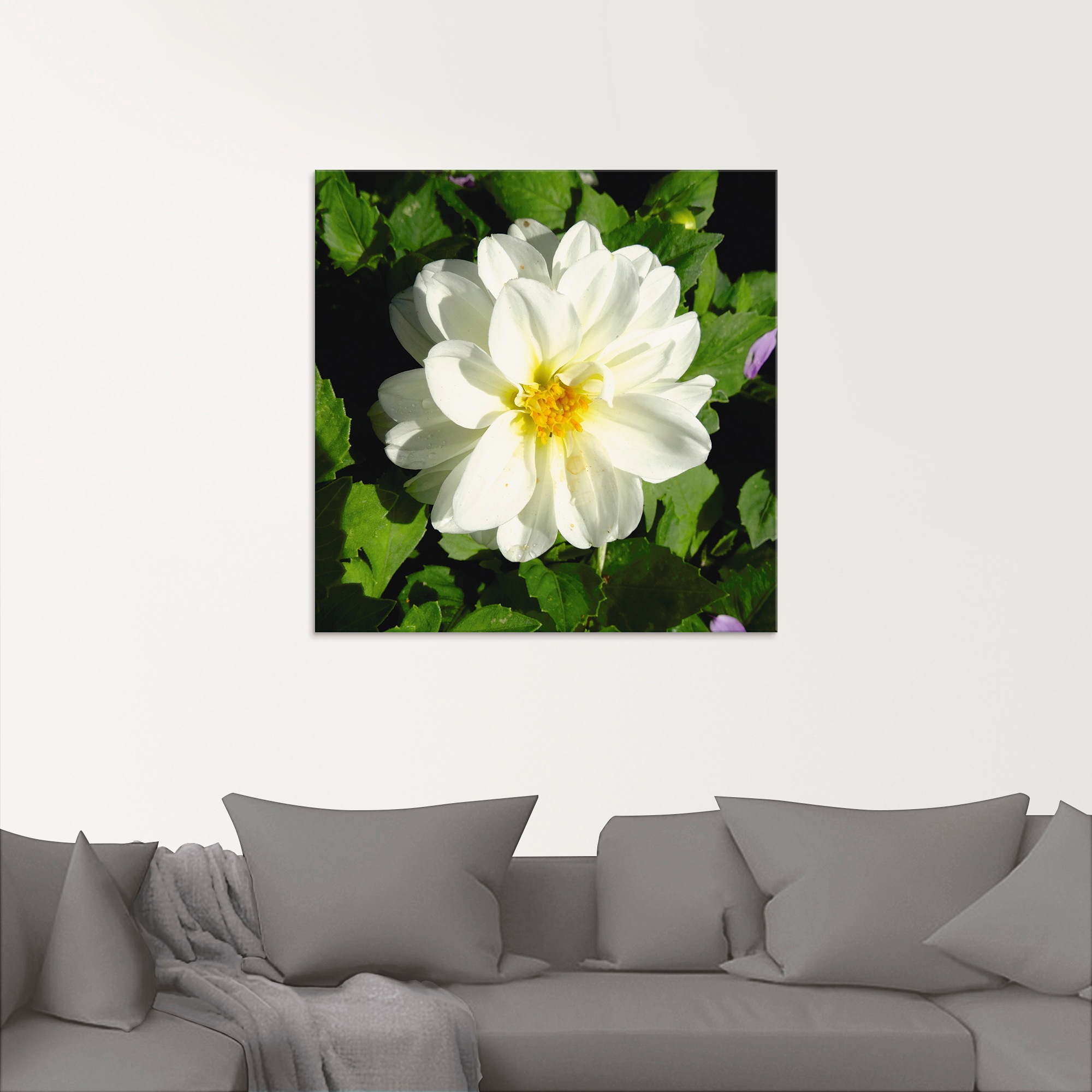 Artland Glasbild »Weiße Dahlienblüte«, Blumen, (1 St.), in verschiedenen Größen