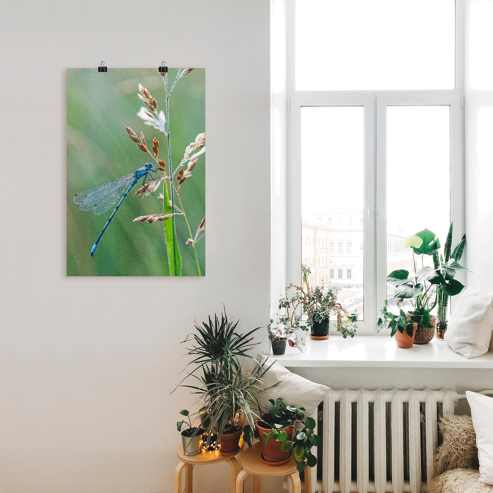 Artland Poster »Kleine Libelle«, Insekten, (1 St.), als Alubild, Leinwandbild, Wandaufkleber oder Poster in versch. Größen
