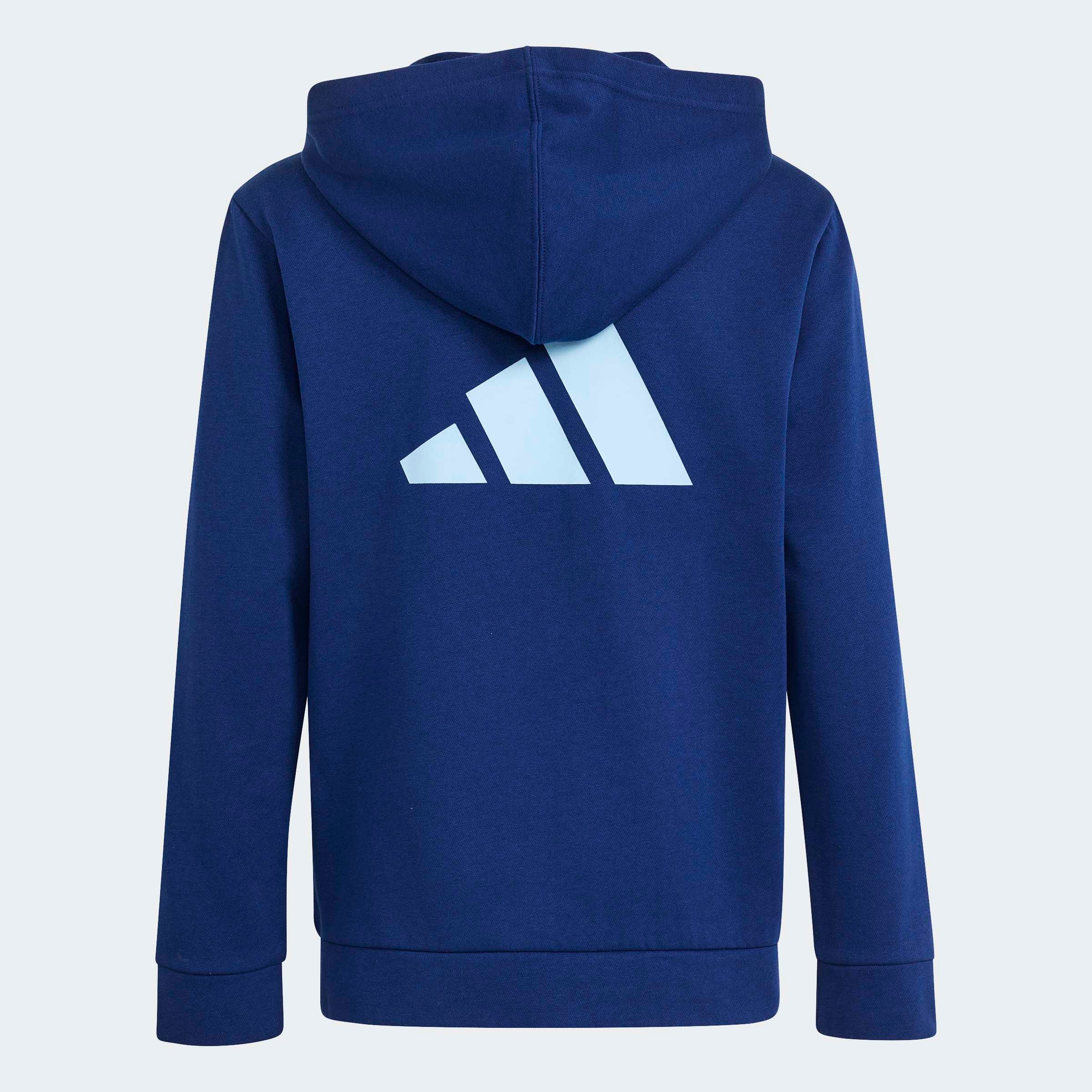 adidas Sportswear Kapuzensweatshirt »COLOR BLOCK HOODIE«
